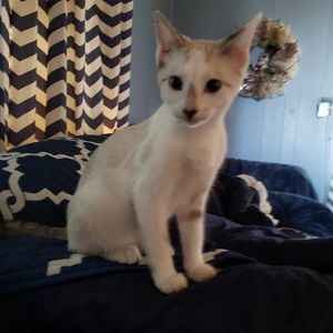 Meet your Posher, Shirley